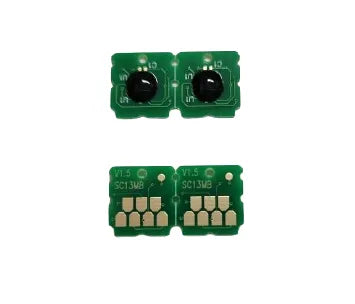S2100 Main SC13MB Maintenance Box Chip Epson SC-F530/ F531/ T3130/ T3430/ T5130/ T5430 Green Ink Cartridge (Pack of 10)