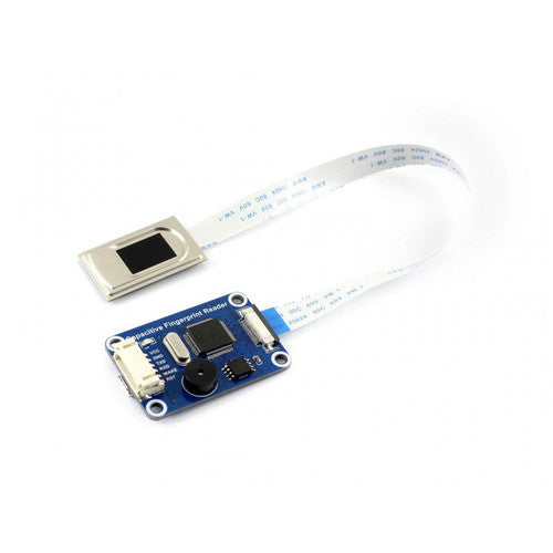 PBWS419 Image 4