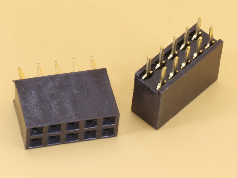 2x5 10P 2.54mm Female Straight Double Row Header Strip