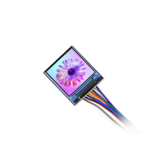 PBWS309 Image 2