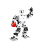 PBDRK312_01