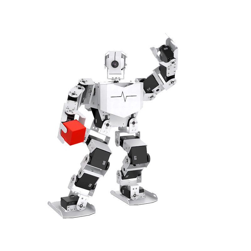 PBDRK312_01