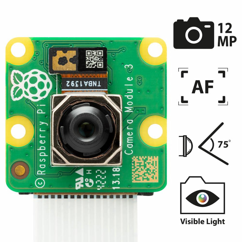 RPi Camera (D)
